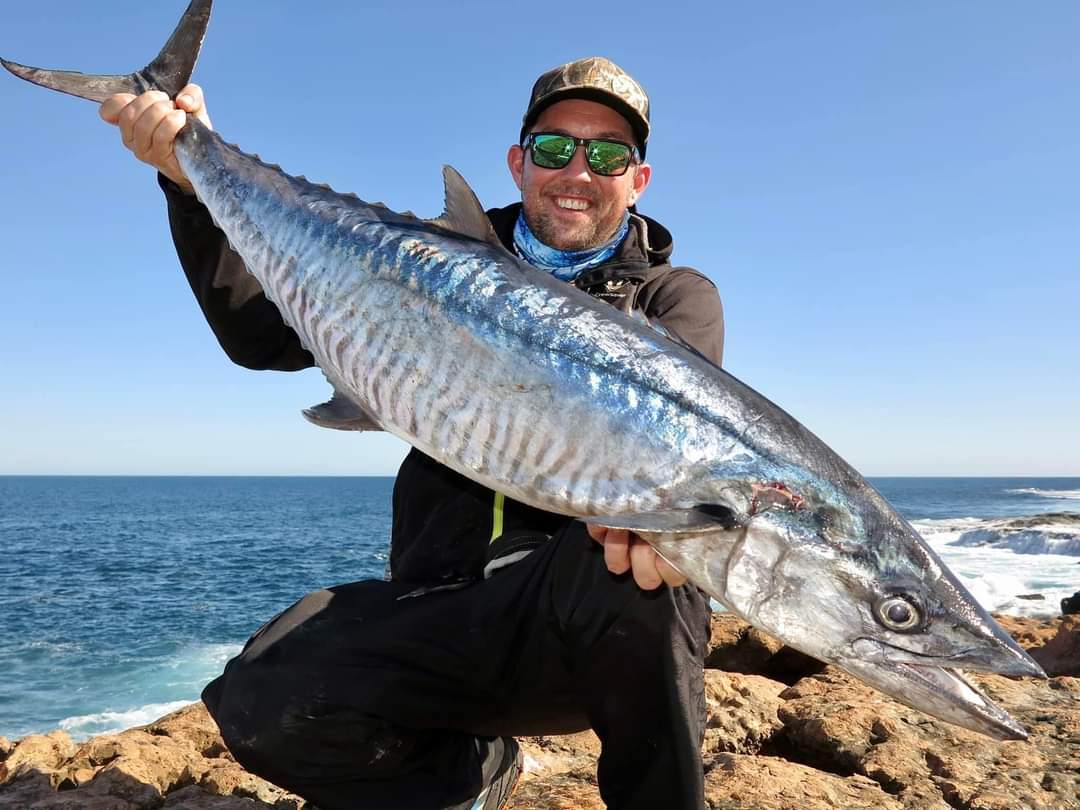 The Spanish Mackerel: A Fascinating Species with Unique Patterns