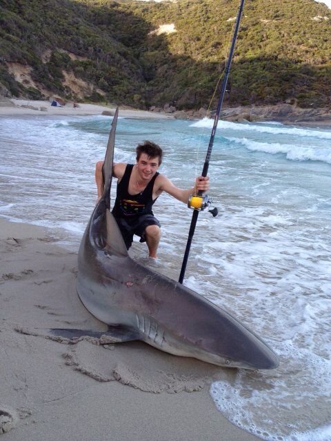 Shark Fishing from the Perth Shores in Australia